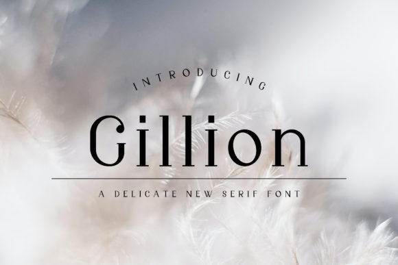 Gillion: A Delicate Serif Font for Scroll-Stopping Campaign Visuals