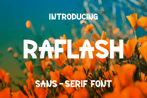Raflash: A Modern Sans Serif Font for Clearer Campaigns