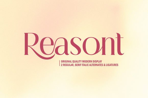 Reasont Serif Font Review: A Campaign Designer's Perspective