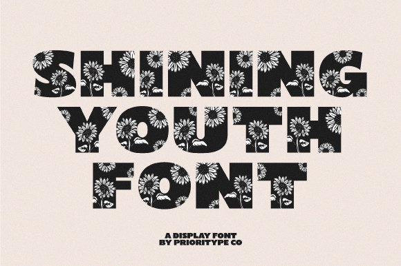 Testing Shining Youth Font for a Real Web Design Project