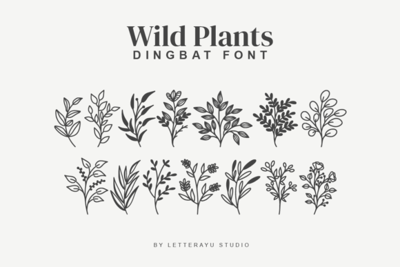 Wildplants Dingbat Font: A Designer’s Honest Review